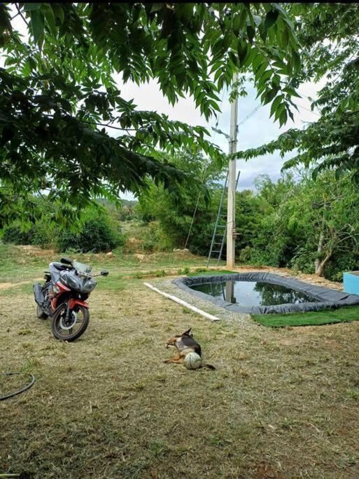 Sattva Farmstay บังกาลอร์ ภายนอก รูปภาพ