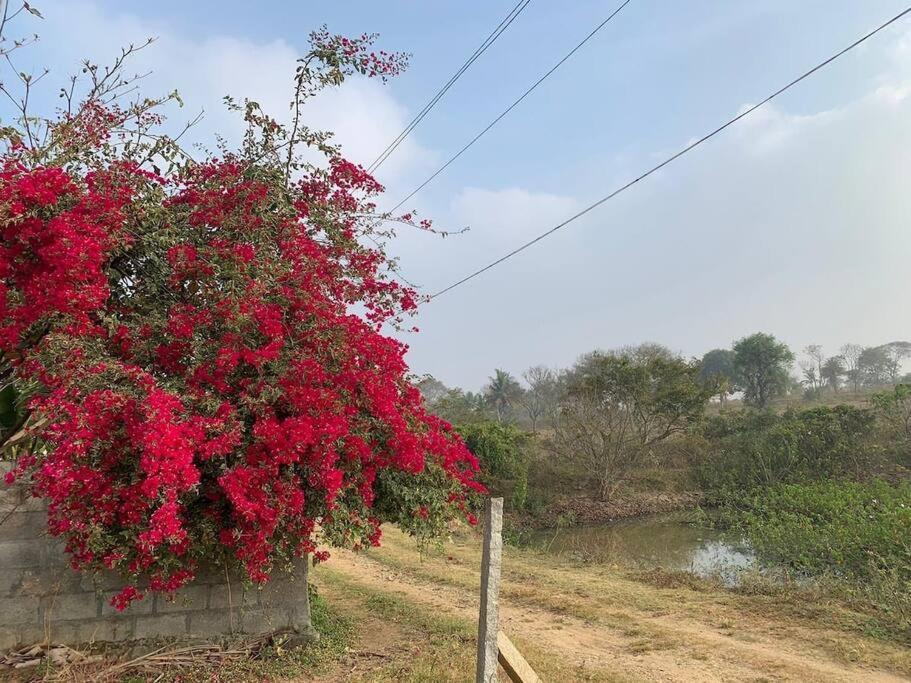 Sattva Farmstay บังกาลอร์ ภายนอก รูปภาพ